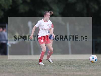 Bild-ID: 2502960