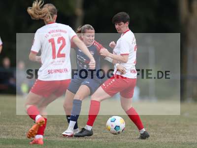 Bild-ID: 2502967