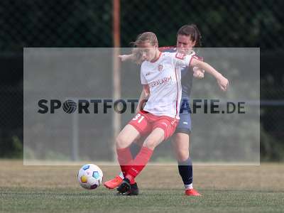 Bild-ID: 2502976