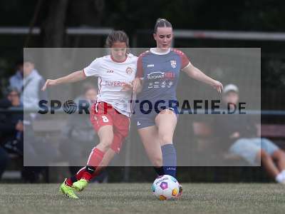 Bild-ID: 2502981
