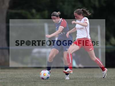 Bild-ID: 2502984