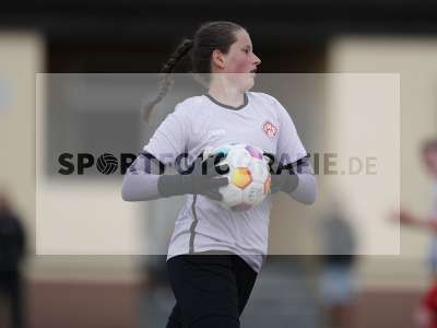 Bild-ID: 2502994