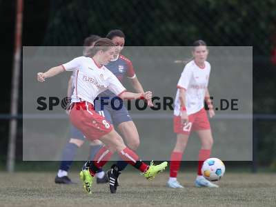 Bild-ID: 2502998
