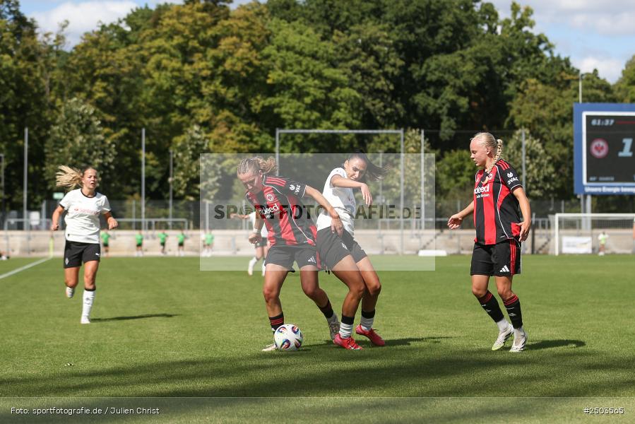 sport, action, Stadion am Brentanobad, SGE, Fussball, Frankfurt, Eintracht Frankfurt II, DFB, Borussia Mönchengladbach, BGM, 24.08.2025, 2. Frauen-Bundesliga - Bild-ID: 2503565 sport, action, Stadion am Brentanobad, SGE, Fussball, Frankfurt, Eintracht Frankfurt II, DFB, Borussia Mönchengladbach, BGM, 24.08.2025, 2. Frauen-Bundesliga - Bild-ID: 2503565