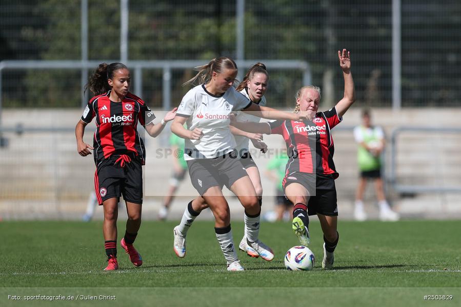sport, action, Stadion am Brentanobad, SGE, Fussball, Frankfurt, Eintracht Frankfurt II, DFB, Borussia Mönchengladbach, BGM, 24.08.2025, 2. Frauen-Bundesliga - Bild-ID: 2503829 sport, action, Stadion am Brentanobad, SGE, Fussball, Frankfurt, Eintracht Frankfurt II, DFB, Borussia Mönchengladbach, BGM, 24.08.2025, 2. Frauen-Bundesliga - Bild-ID: 2503829