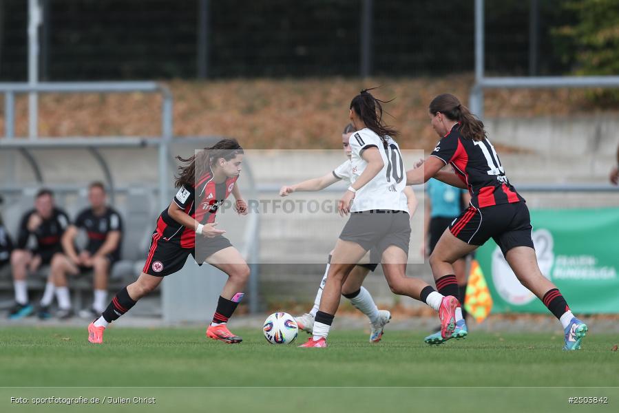 sport, action, Stadion am Brentanobad, SGE, Fussball, Frankfurt, Eintracht Frankfurt II, DFB, Borussia Mönchengladbach, BGM, 24.08.2025, 2. Frauen-Bundesliga - Bild-ID: 2503842 sport, action, Stadion am Brentanobad, SGE, Fussball, Frankfurt, Eintracht Frankfurt II, DFB, Borussia Mönchengladbach, BGM, 24.08.2025, 2. Frauen-Bundesliga - Bild-ID: 2503842
