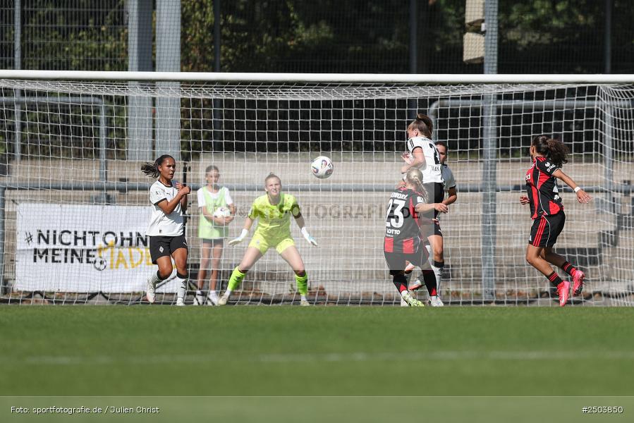 sport, action, Stadion am Brentanobad, SGE, Fussball, Frankfurt, Eintracht Frankfurt II, DFB, Borussia Mönchengladbach, BGM, 24.08.2025, 2. Frauen-Bundesliga - Bild-ID: 2503850