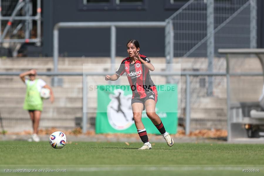 sport, action, Stadion am Brentanobad, SGE, Fussball, Frankfurt, Eintracht Frankfurt II, DFB, Borussia Mönchengladbach, BGM, 24.08.2025, 2. Frauen-Bundesliga - Bild-ID: 2503868 sport, action, Stadion am Brentanobad, SGE, Fussball, Frankfurt, Eintracht Frankfurt II, DFB, Borussia Mönchengladbach, BGM, 24.08.2025, 2. Frauen-Bundesliga - Bild-ID: 2503868