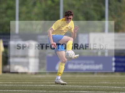 Bild-ID: 2503093