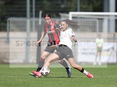 Bild-ID: 2503100