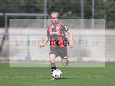 Bild-ID: 2503101