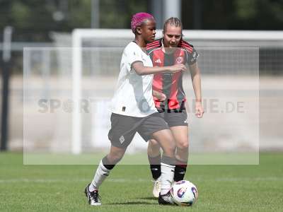 Bild-ID: 2503104