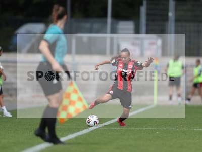 Bild-ID: 2503113