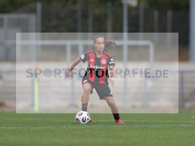 Bild-ID: 2503115
