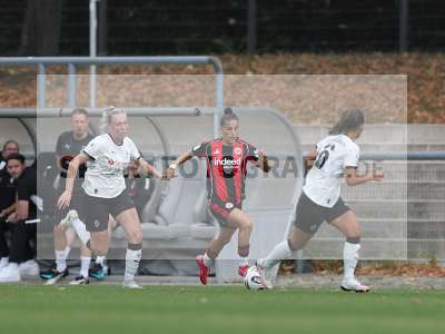 Bild-ID: 2503116