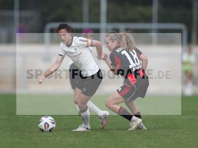 Bild-ID: 2503121
