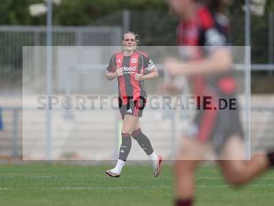 Bild-ID: 2503122