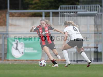 Bild-ID: 2503131