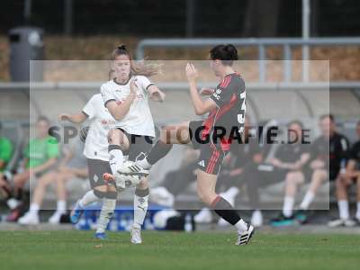 Bild-ID: 2503138
