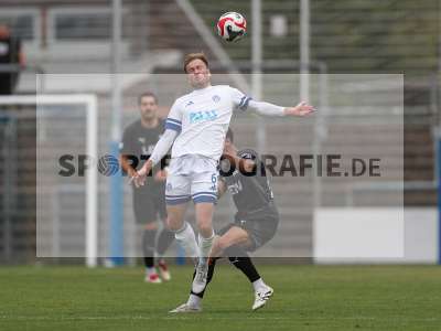 Bild-ID: 2503335