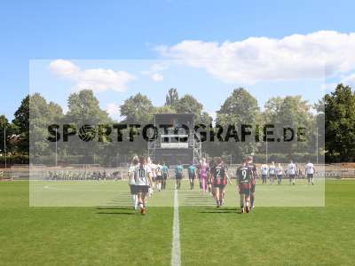 Bild-ID: 2503515