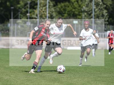 Bild-ID: 2503531