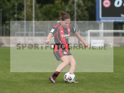 Bild-ID: 2503542