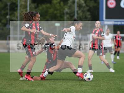 Bild-ID: 2503544