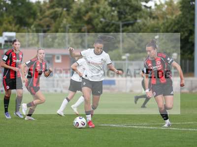 Bild-ID: 2503554