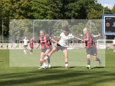 Bild-ID: 2503564