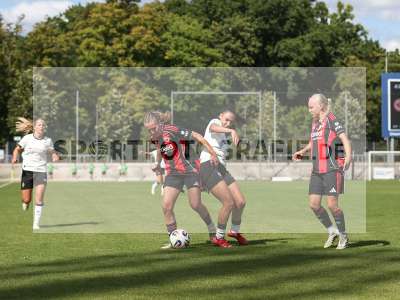 Bild-ID: 2503565