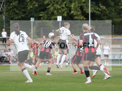 Bild-ID: 2503569