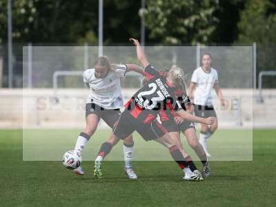 Bild-ID: 2503570