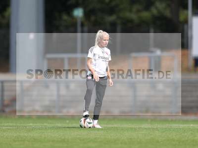 Bild-ID: 2503581