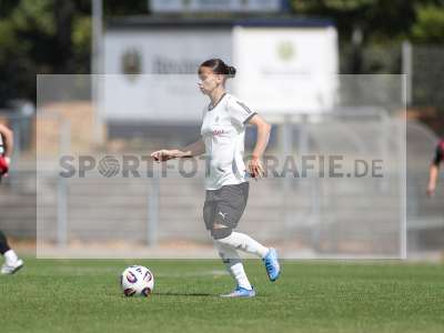 Bild-ID: 2503623