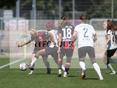 Bild-ID: 2503624