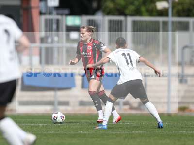 Bild-ID: 2503627