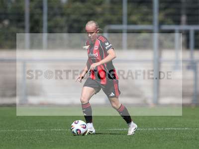 Bild-ID: 2503628