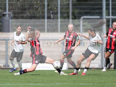 Bild-ID: 2503635