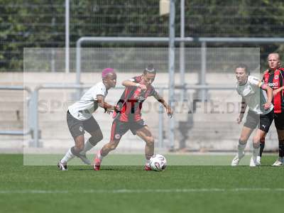 Bild-ID: 2503639