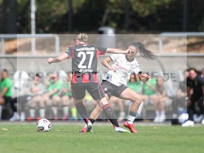 Bild-ID: 2503647