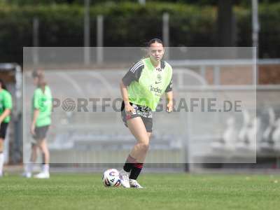 Bild-ID: 2503664