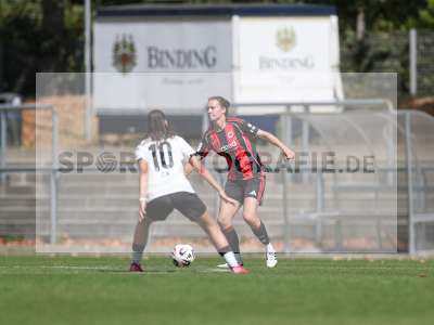 Bild-ID: 2503666