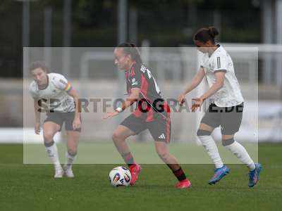 Bild-ID: 2503674