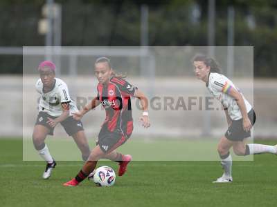 Bild-ID: 2503676