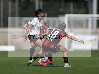 Bild-ID: 2503689