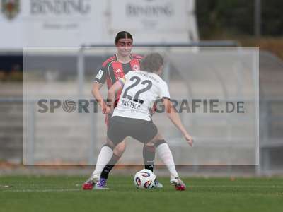 Bild-ID: 2503698
