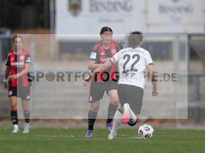 Bild-ID: 2503699