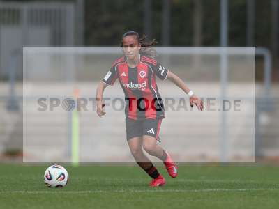 Bild-ID: 2503700
