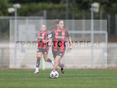 Bild-ID: 2503719